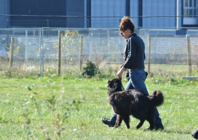 Cours d’Obeissance de chien Rolle