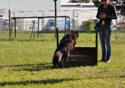 Cours d’Obeissance pour chien Coppet