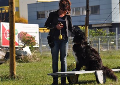 Garderie de Chien Morges